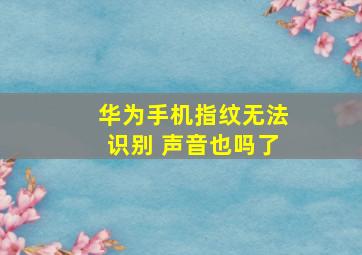 华为手机指纹无法识别 声音也吗了